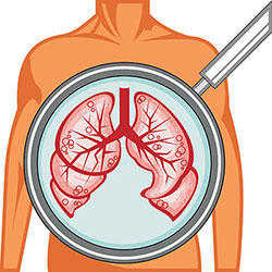 sketch of lungs