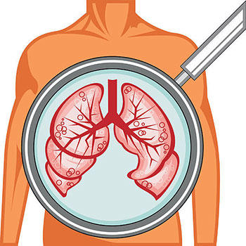 sketch of lungs
